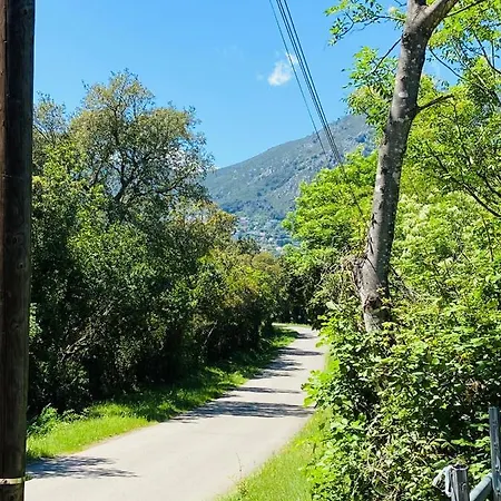 Domaine Cara Valle-di-Campoloro